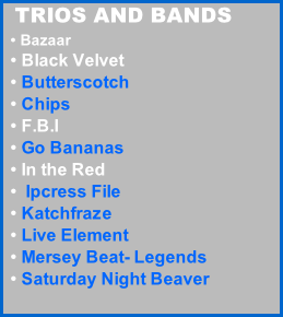 TRIOS AND BANDS   • Bazaar   • Black Velvet   • Butterscotch   • Chips         • F.B.I   • Go Bananas   • In the Red   •  Ipcress File   • Katchfraze   • Live Element   • Mersey Beat- Legends   • Saturday Night Beaver